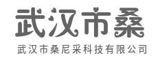 所有的复杂,都值得被简化-武汉市桑尼采科技有限公司